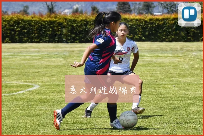 意大利迎战瑞典