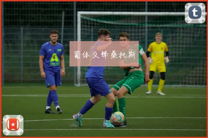 葡体交锋桑托斯