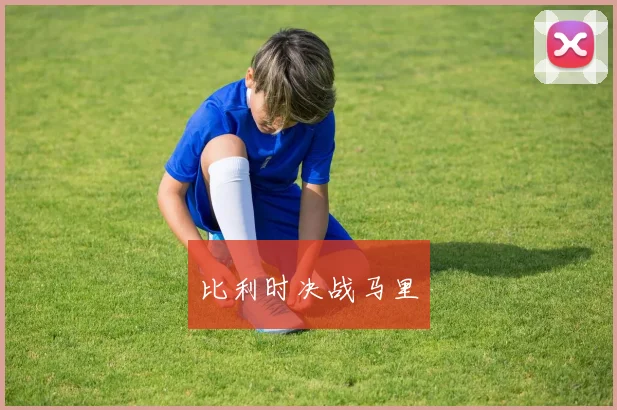 比利时决战马里