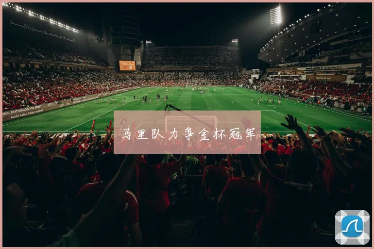 马里队力争金杯冠军