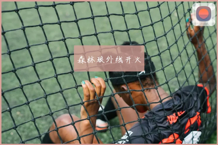森林狼外线开火