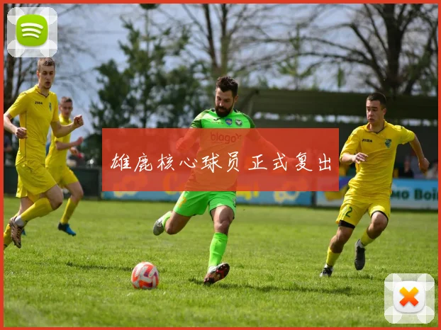 雄鹿核心球员正式复出