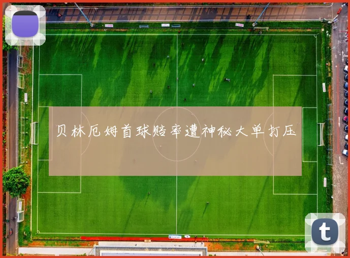 贝林厄姆首球赔率遭神秘大单打压