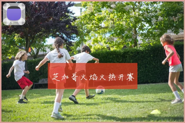 芝加哥火焰火热开赛