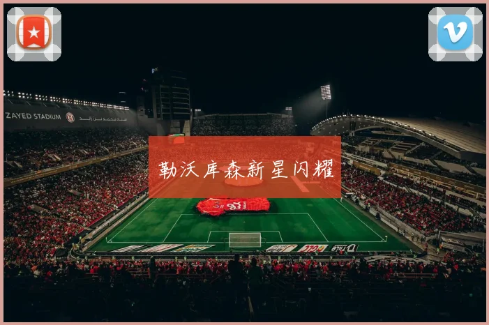 勒沃库森新星闪耀