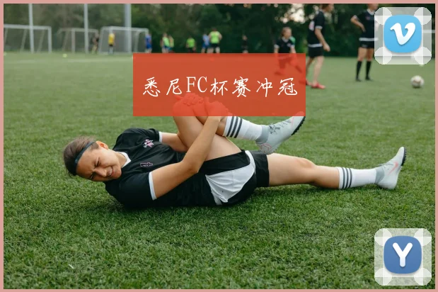 悉尼FC杯赛冲冠