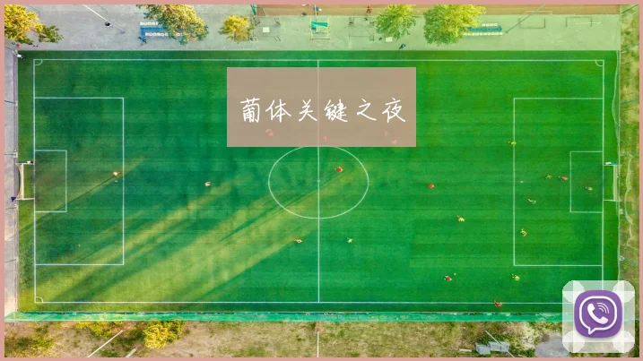 葡体关键之夜