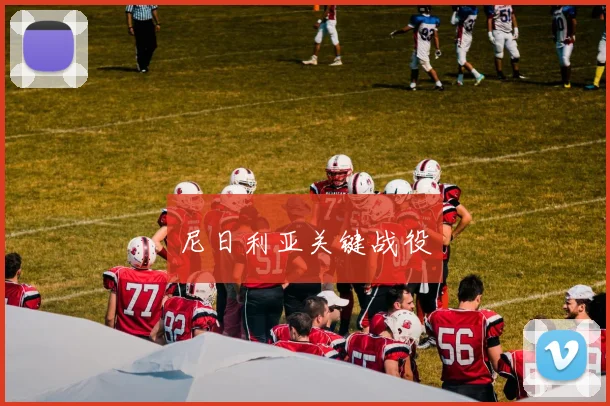 尼日利亚关键战役