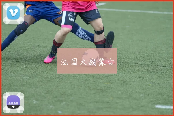 法国大战蒙古