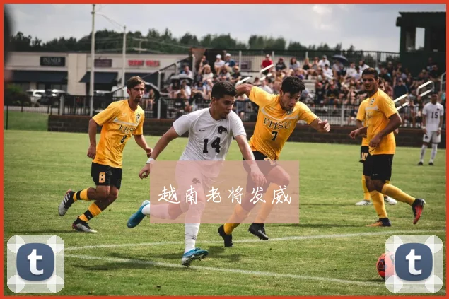 越南老将发威