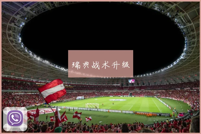 瑞典战术升级