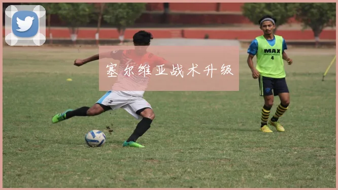 塞尔维亚战术升级