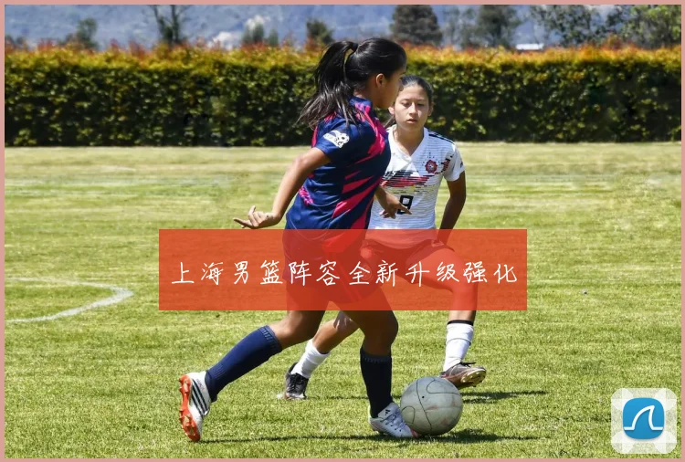 上海男篮阵容全新升级强化