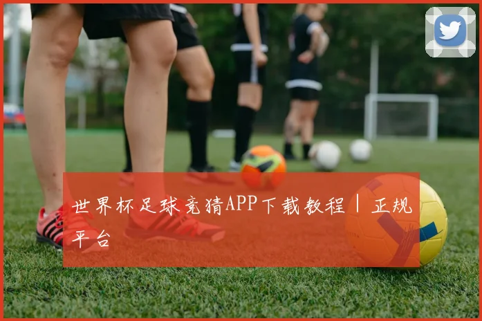 世界杯足球竞猜APP下载教程｜正规平台