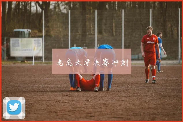 老虎大学决赛冲刺