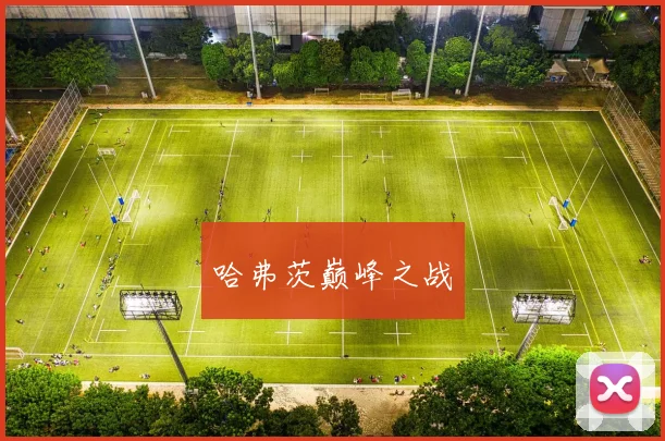哈弗茨巅峰之战