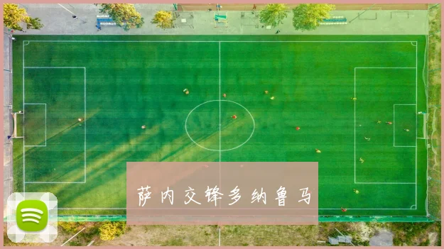 萨内交锋多纳鲁马