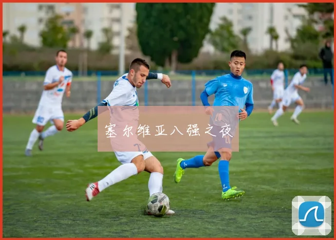塞尔维亚八强之夜