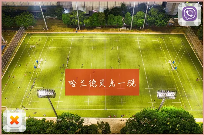 哈兰德灵光一现