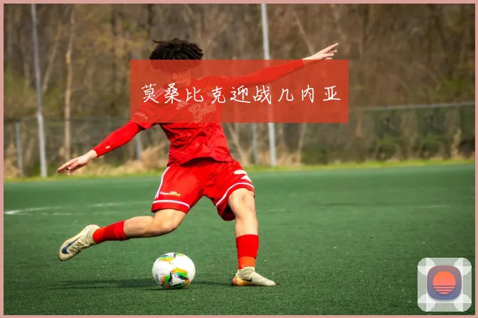 莫桑比克迎战几内亚