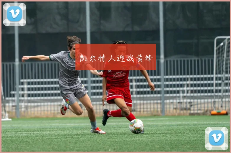 凯尔特人迎战黄蜂