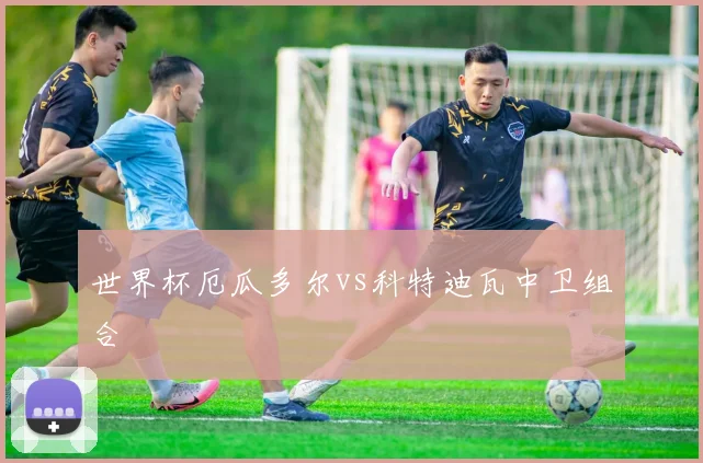 世界杯厄瓜多尔vs科特迪瓦中卫组合