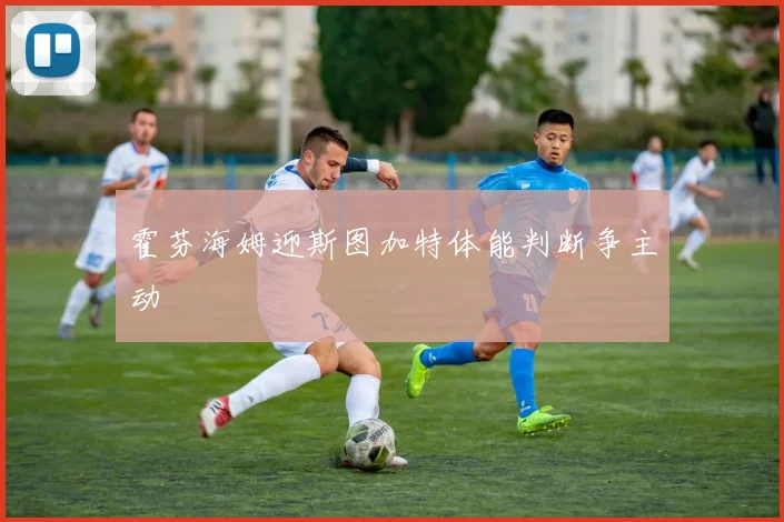霍芬海姆迎斯图加特体能判断争主动